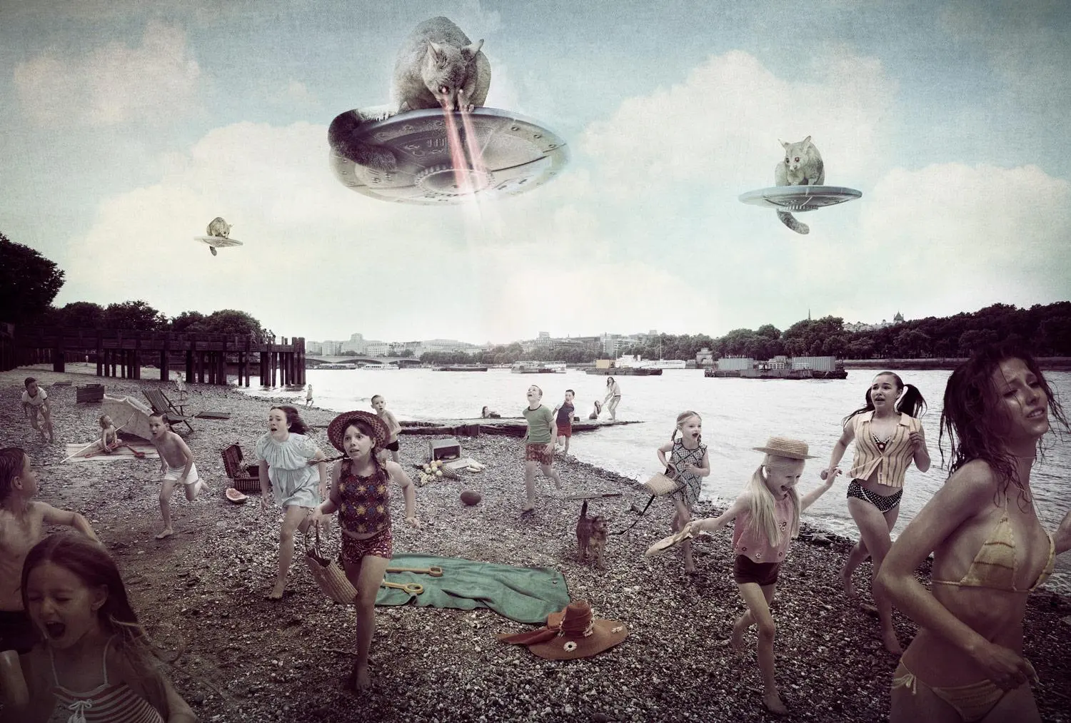 Michael Cook, Invasion (UFO possums), 2017
