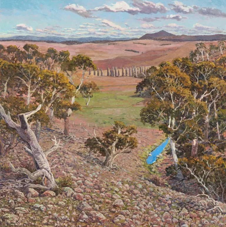 Monaro (view of Delegate Hill)