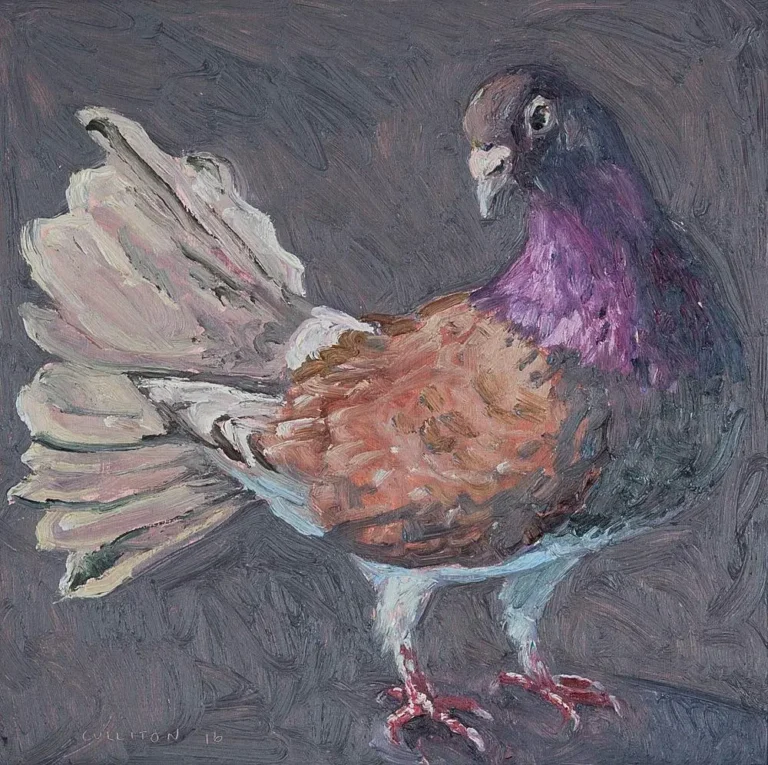 Spring pigeon I