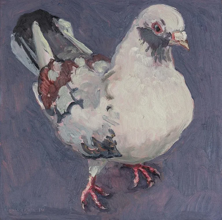 Spring pigeon II
