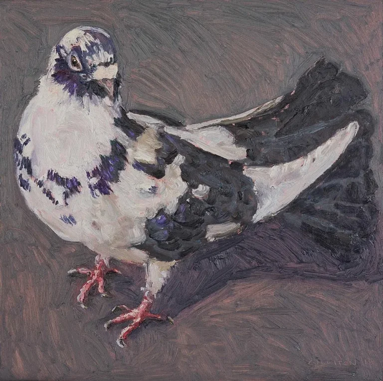Spring pigeon VI