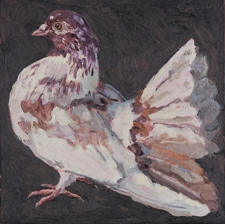 Spring pigeon VIII