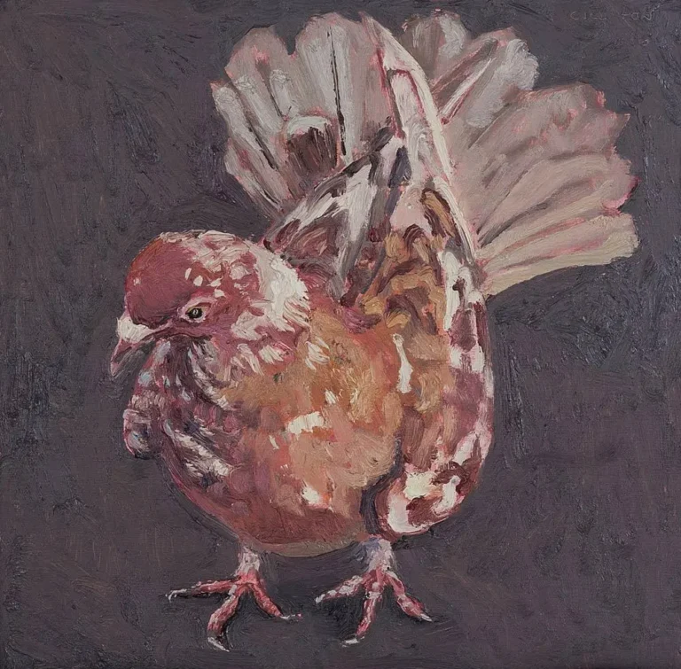 Spring pigeon XIV