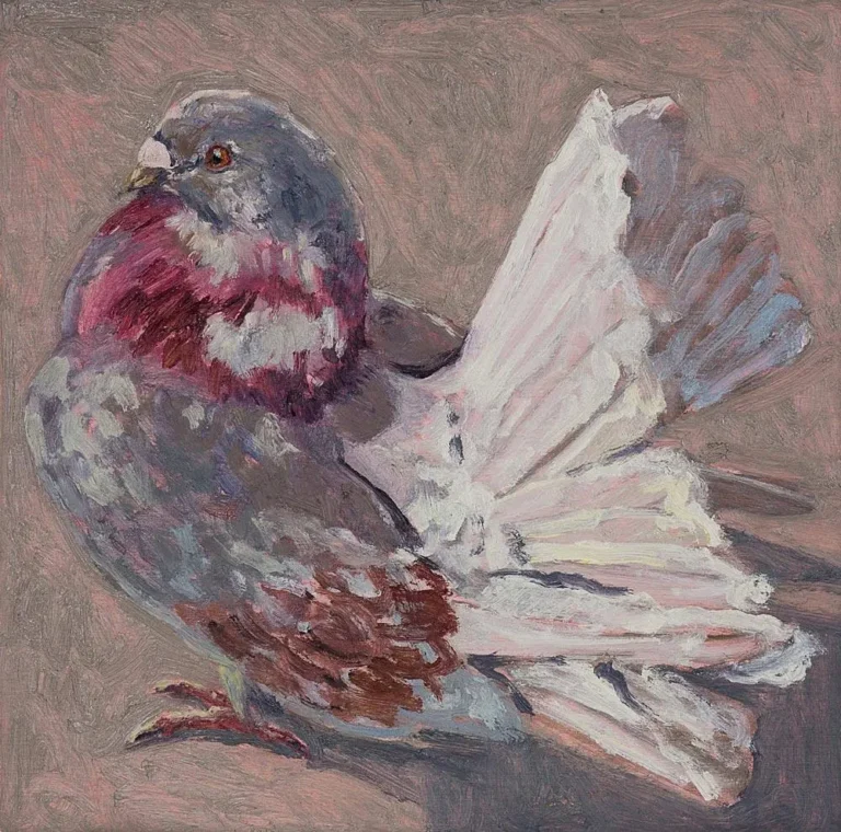 Spring pigeon XV