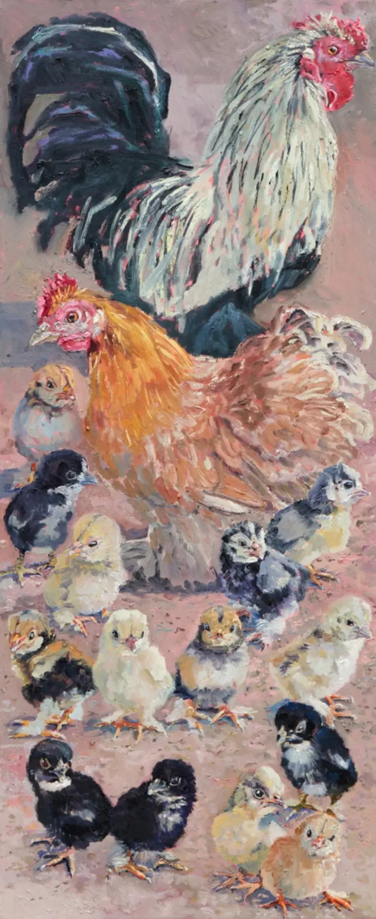 Chook family