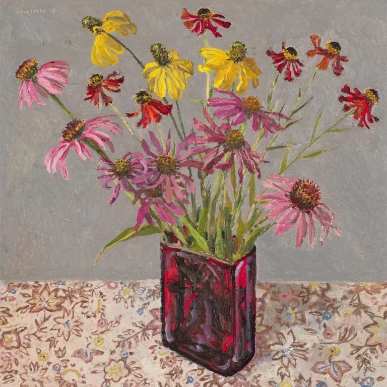 Echinacea and cone flowers