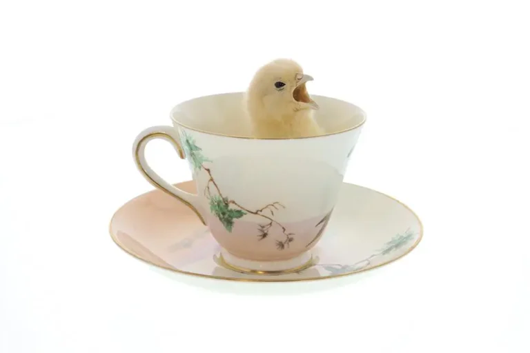 Galloanserae Tea
