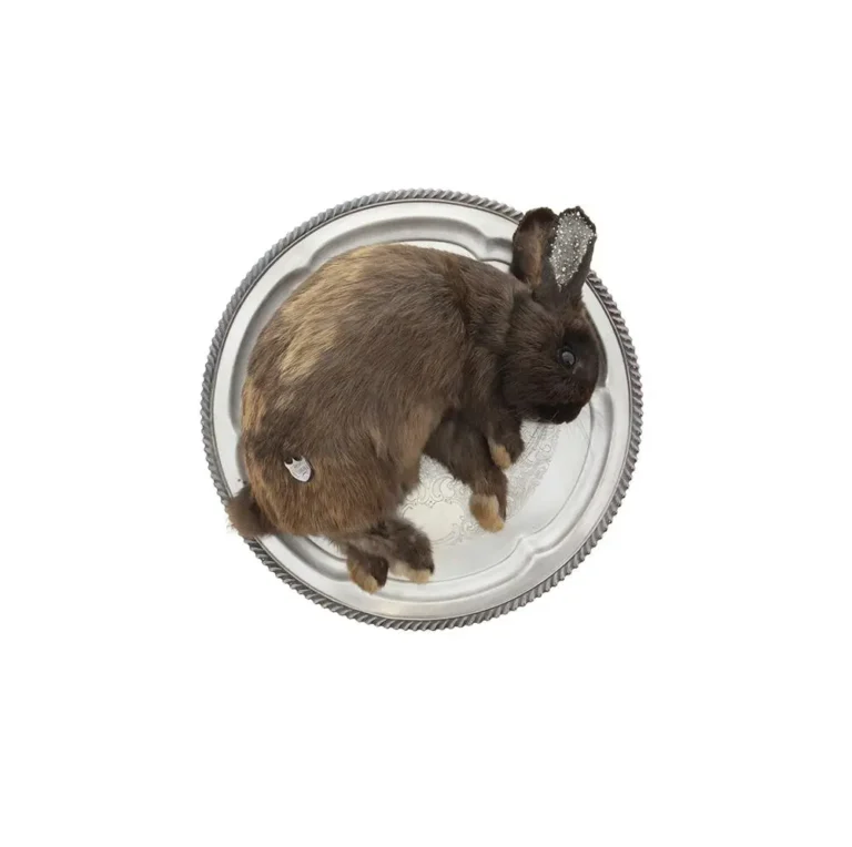 Lunar Leporidae