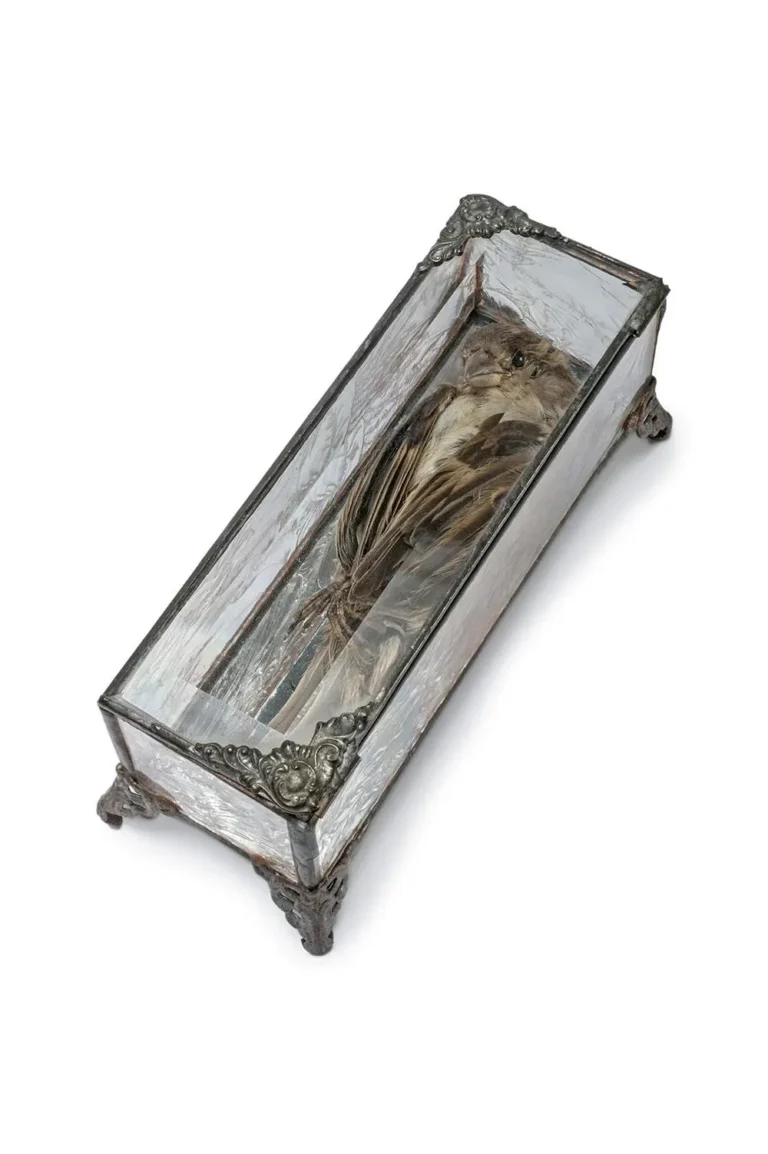 Your funeral, my trial