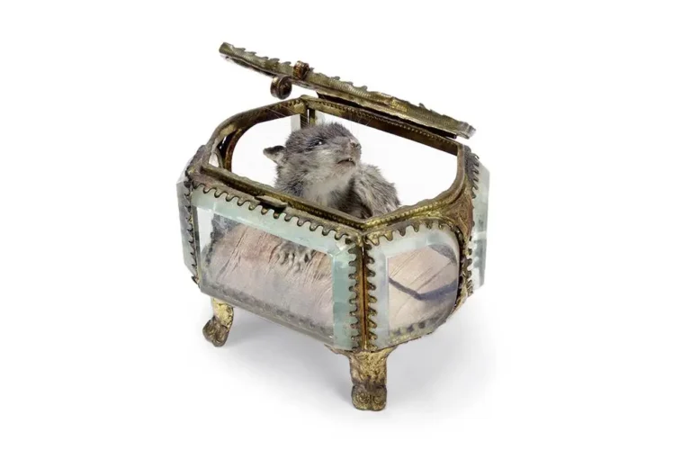 Mini Antoinette