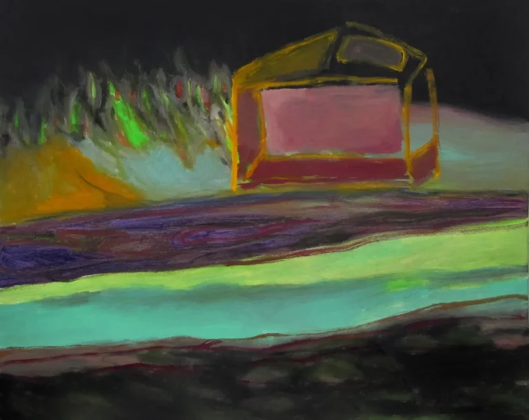 An isolated cabin in a remote wooded area