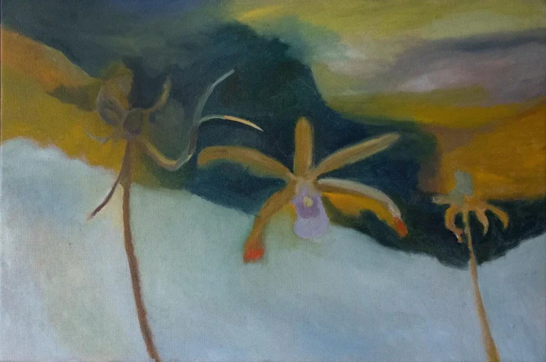 Three orchids, one without a stem