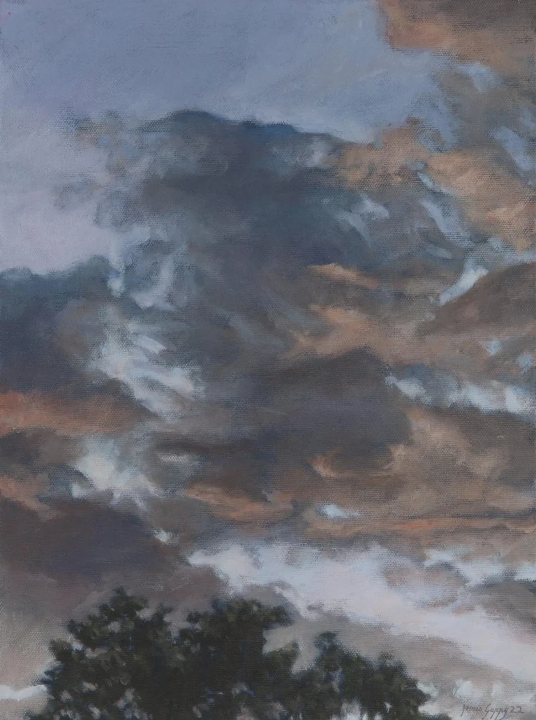 Twilight above the tree