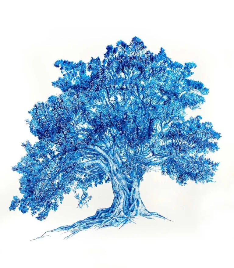 Fig: ocean
