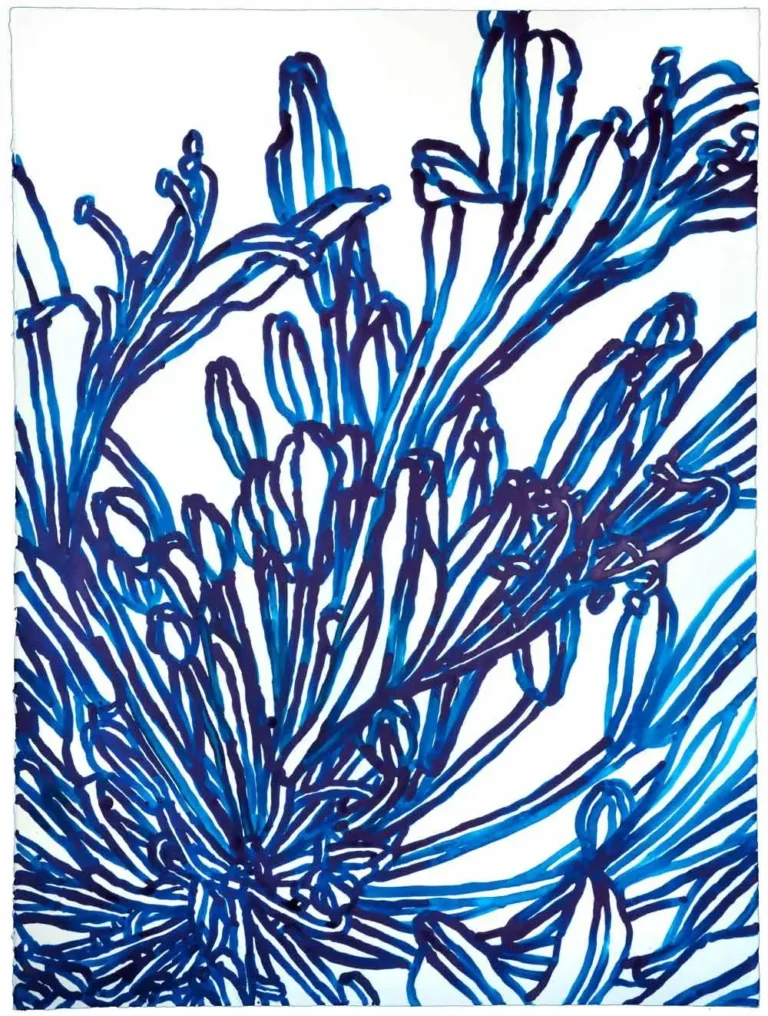 Agapanthus 2