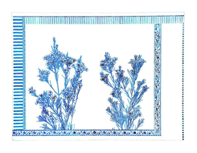 Blue Almanac: Geraldton Wax