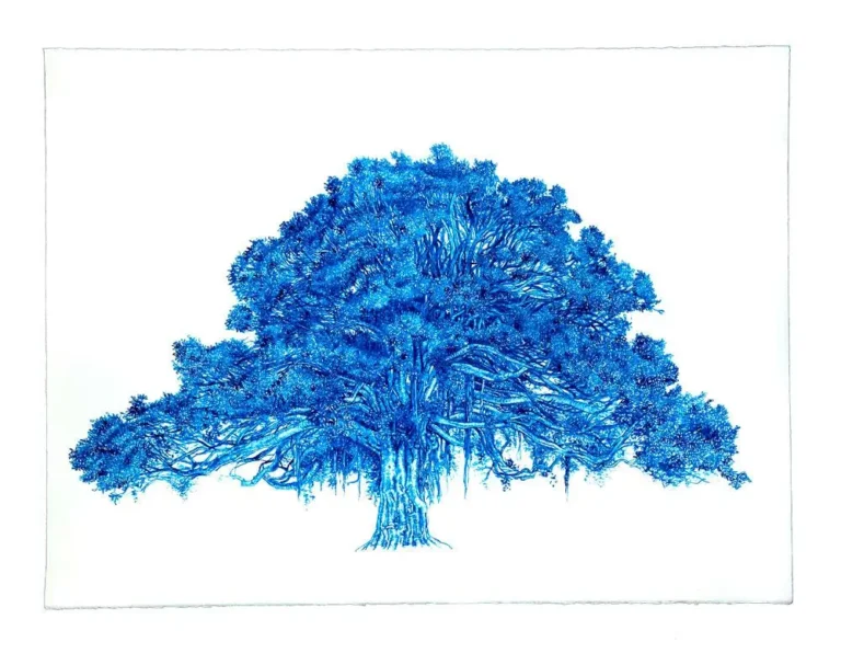 Blue Fig 1