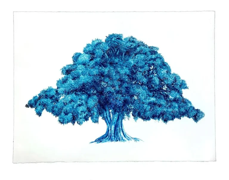 Blue Fig 2