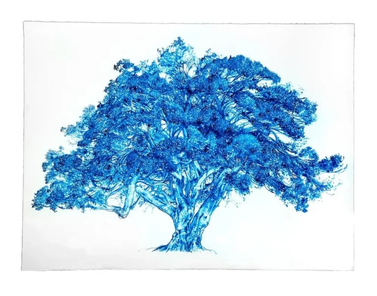 Blue Fig 3