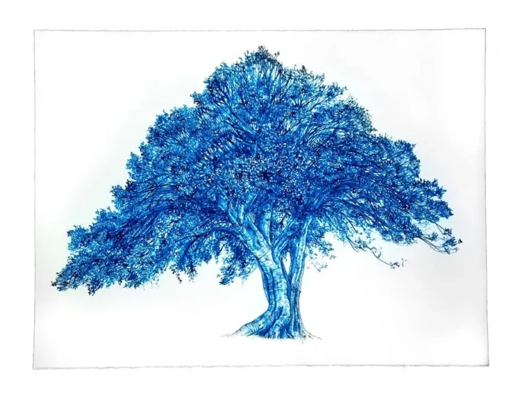 Blue Fig 4