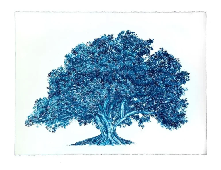Blue Fig 5