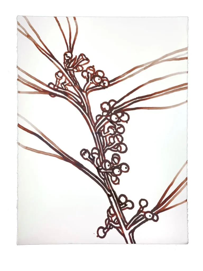 Brown Berry 1
