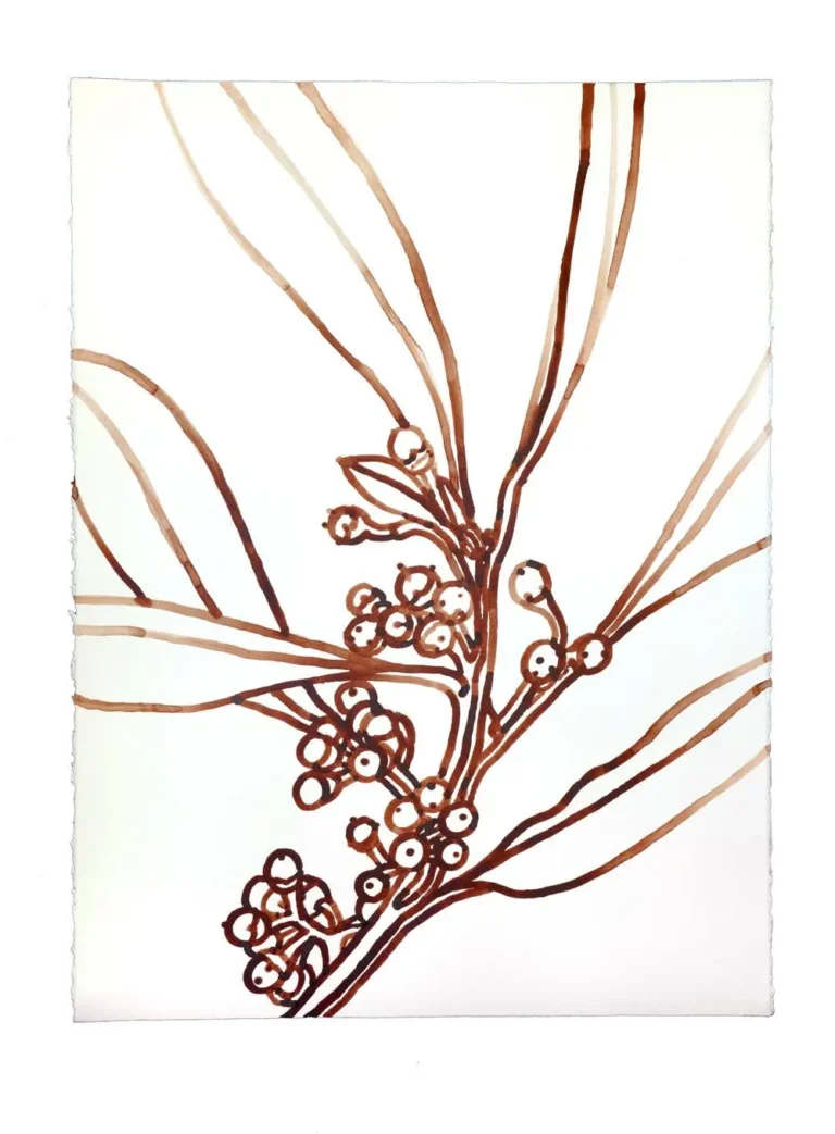 Brown Berry 2