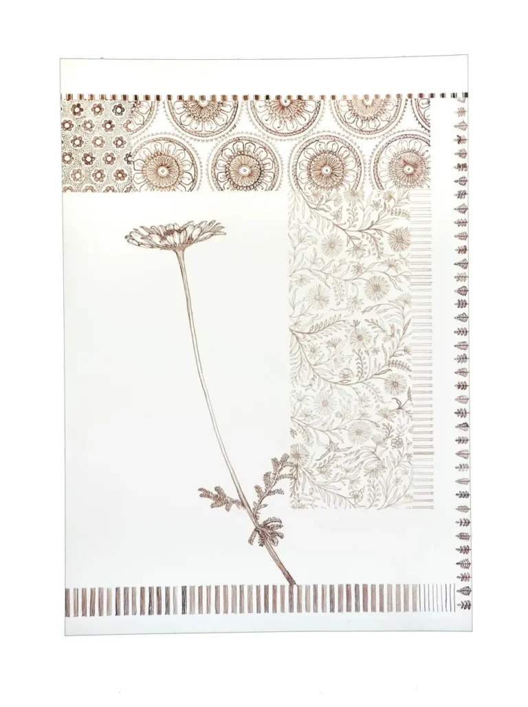Little Brown Almanac: daisy