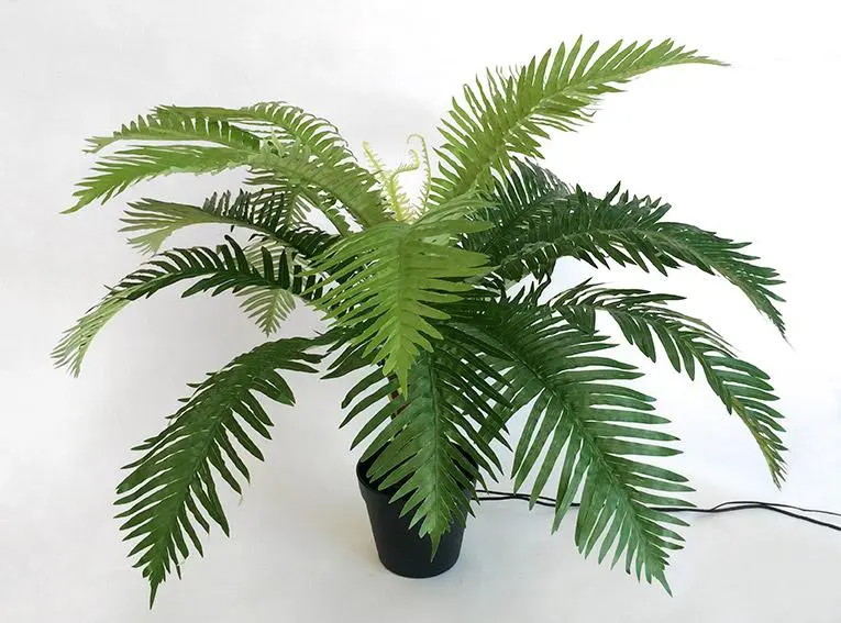 Robot plant