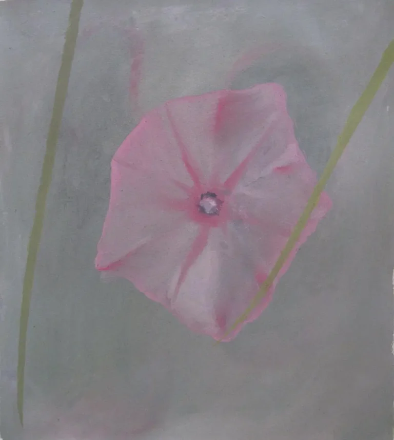 Dunwich Beach flower