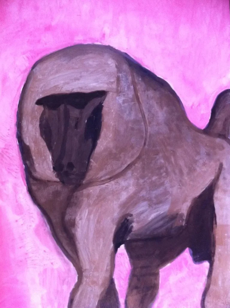 Baboon