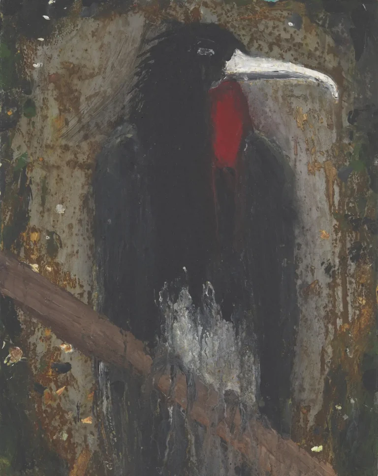 Christmas Frigatebird