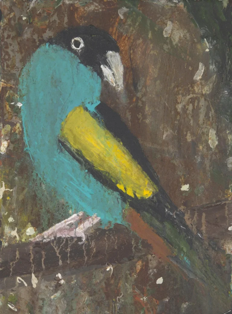 Golden Shouldered Parrot