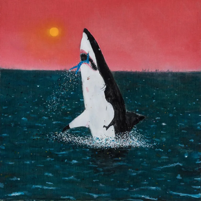 In shark’s mouth