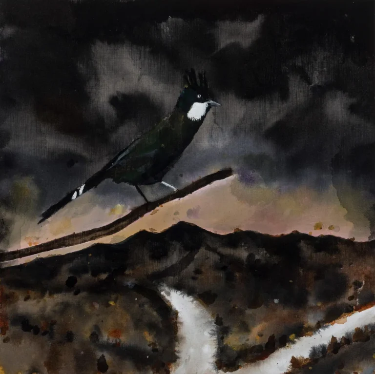 Waking up with the eastern whipbird in my ear