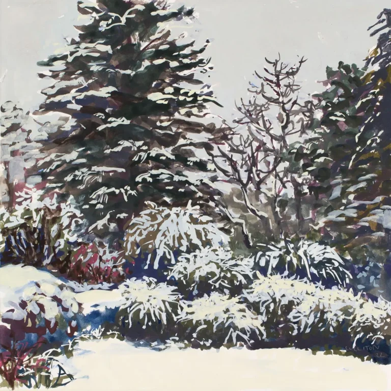 Ball hedge, dusting of snow
