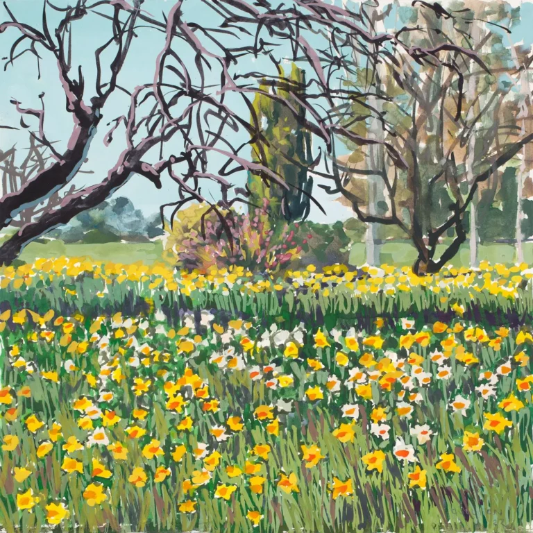 Daffodils, Spring
