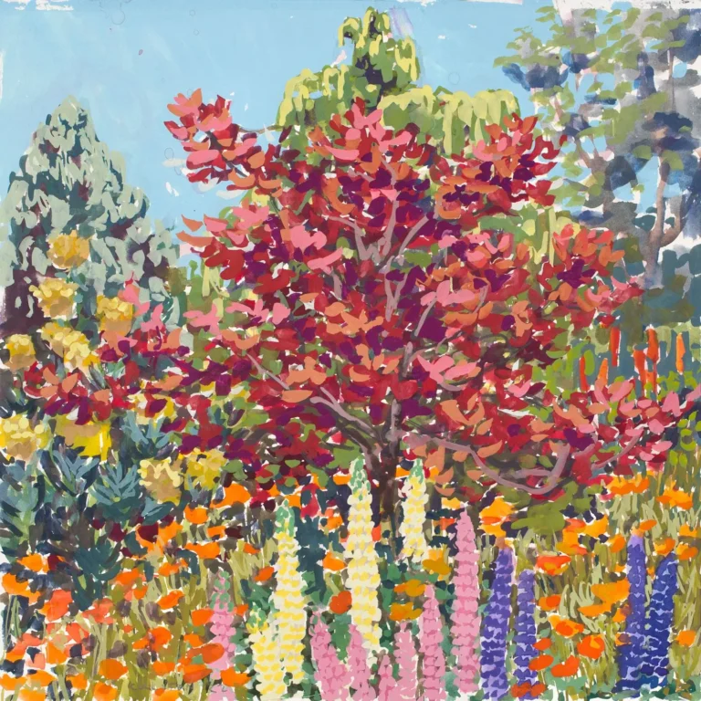 Cotinus, Spring