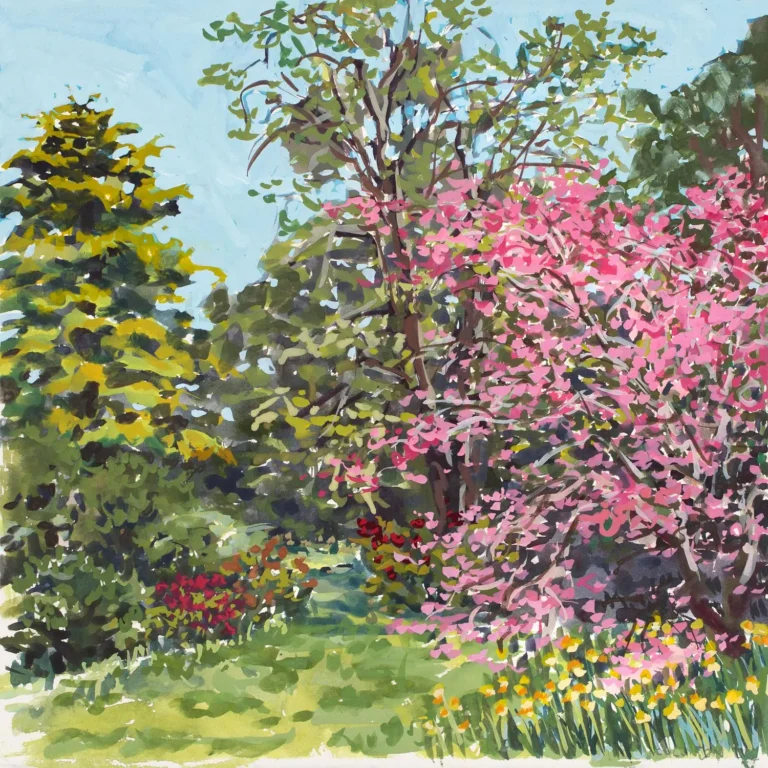 Dogwood, Spring