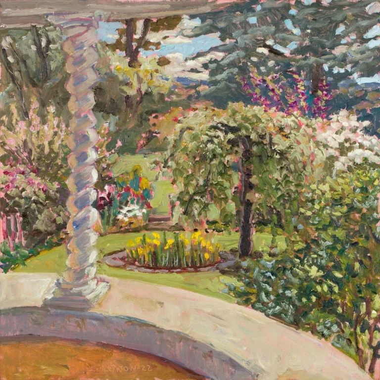 Cherry tree from the verandah 