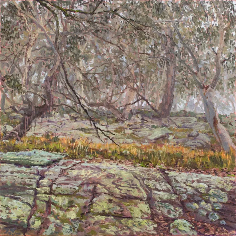 Bibbenluke bush 1
