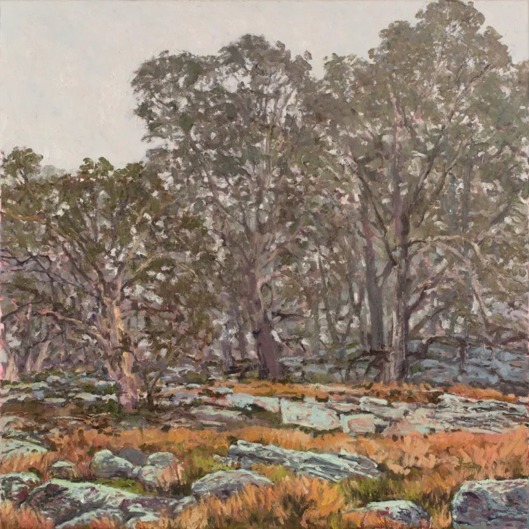 Bibbenluke bush 2