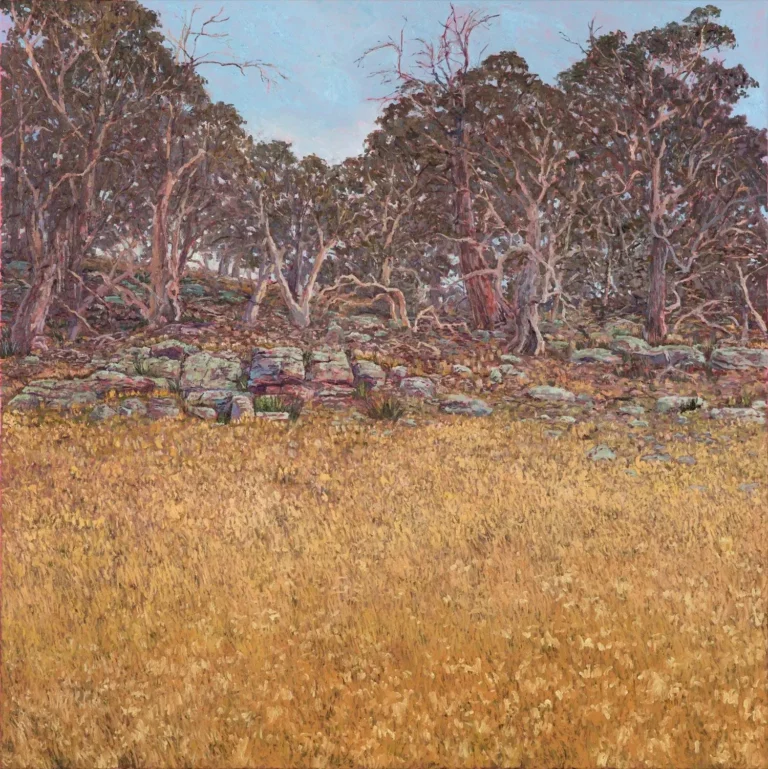 Bibbenluke bush 3