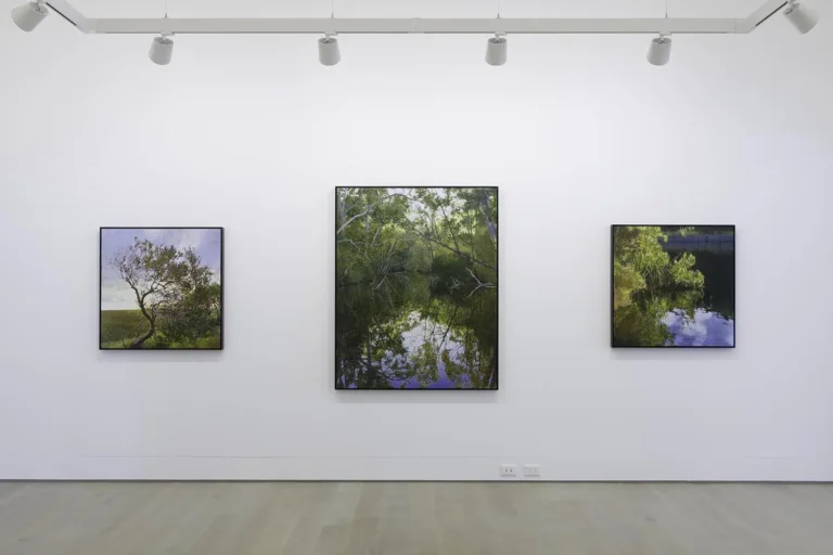 Installation view ‘New Ground’