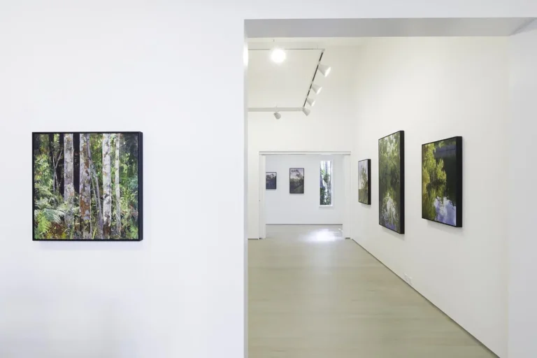 Installation view ‘New Ground’
