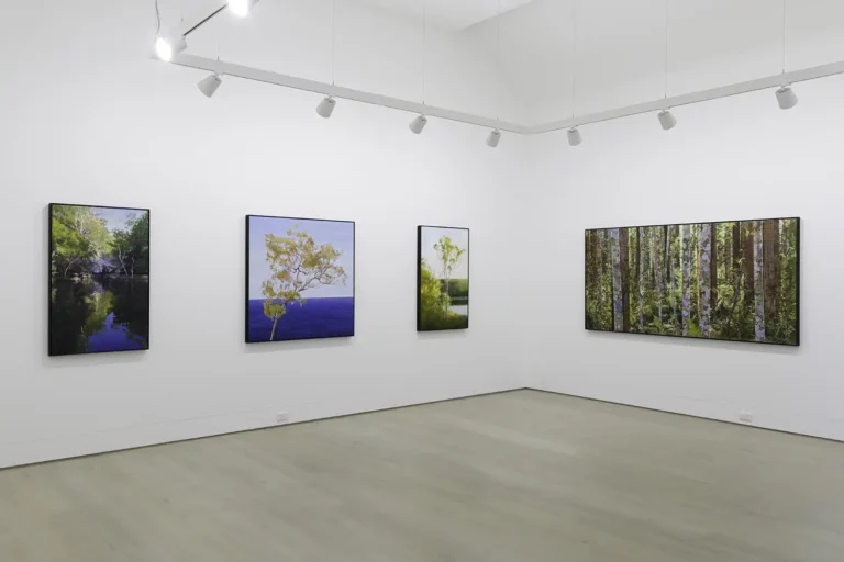 Installation view ‘New Ground’