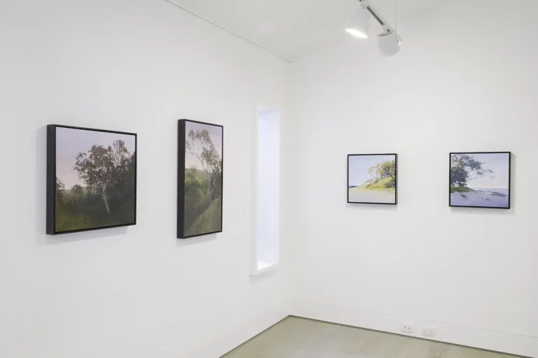 Installation view ‘New Ground’
