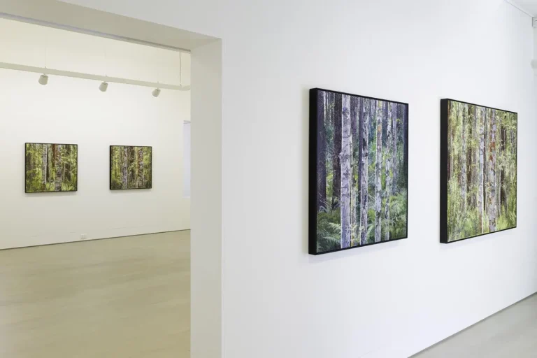 Installation view ‘New Ground’