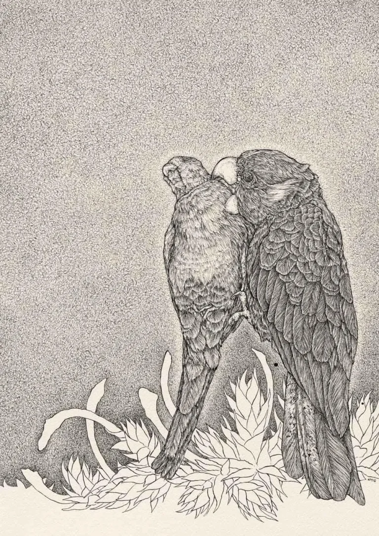 Unfeathered
