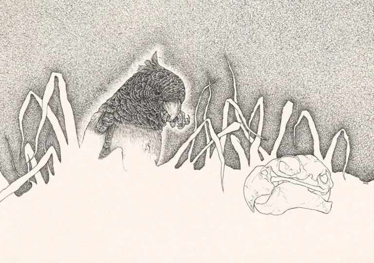 Untitled (landscape 3)
